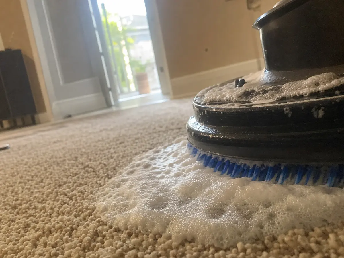 Carpet Shampooing in Pasadena, CA