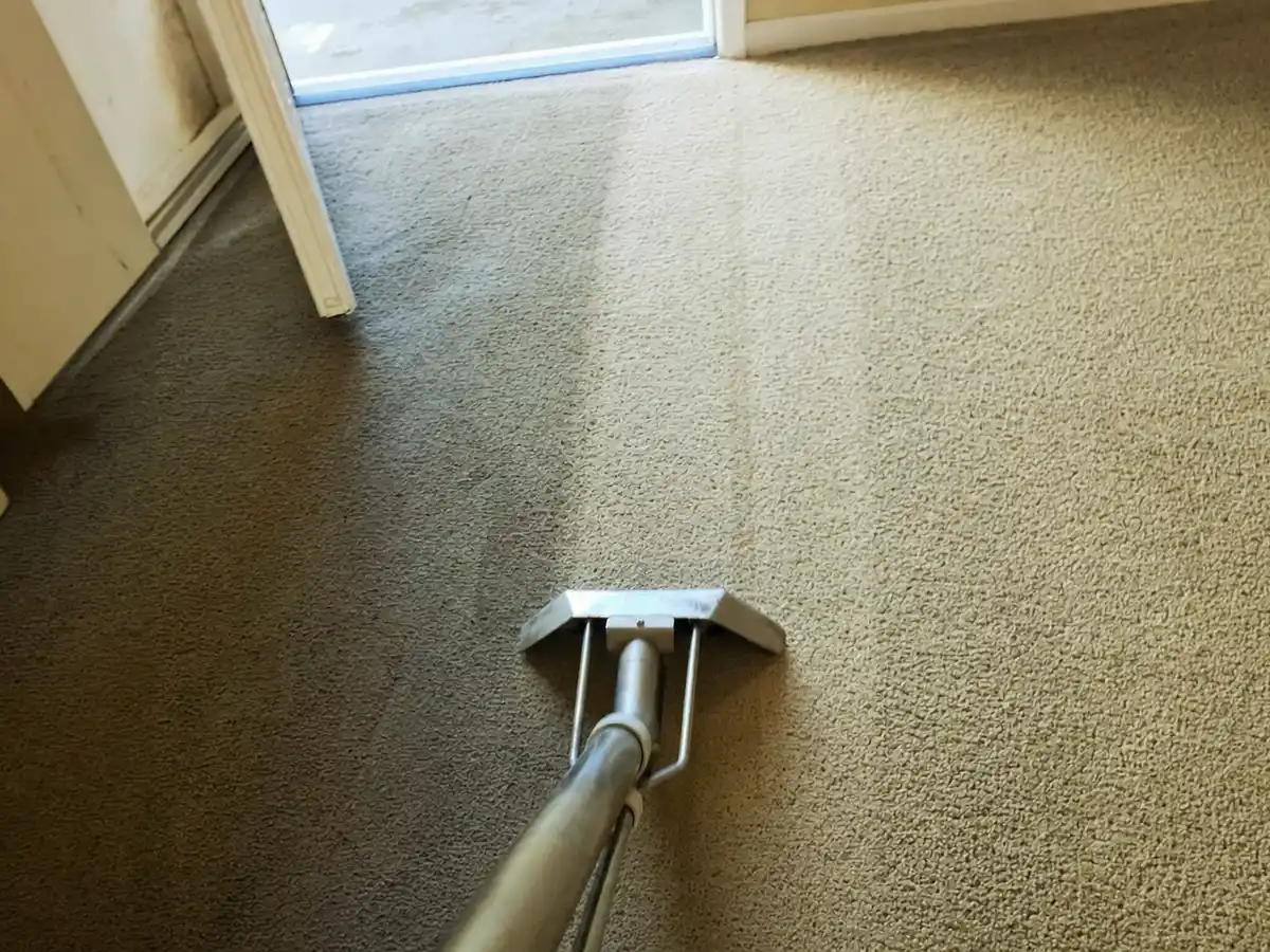 Steam Carpet Cleaning in Pasadena, CA